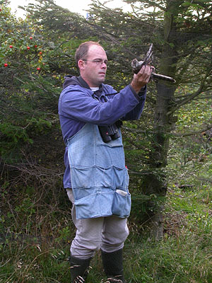 Henrik Knudsen piller Spurveh�g 1k ud af nettet, Fyrhaven Bl�vandshuk, 26. september 2004