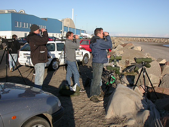 PBH, CSS og OZG nyder Bonapartem�gen