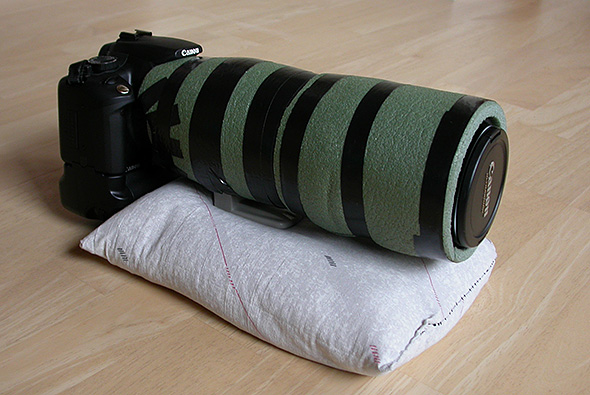 Canon EOS 350D + Canon EF 300mm f/4 L IS USM + Canon Extender EF 1,4x II