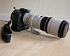 Canon EOS 350D + Canon EF 300mm f/4 L IS USM + Canon Extender EF 1,4x II