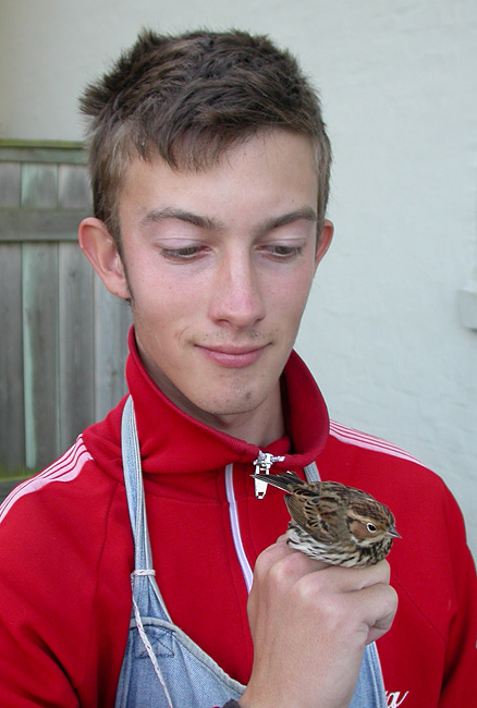 RTJ med Dv�rgv�rling 1k, Bl�vandshuk, 5. oktober 2004