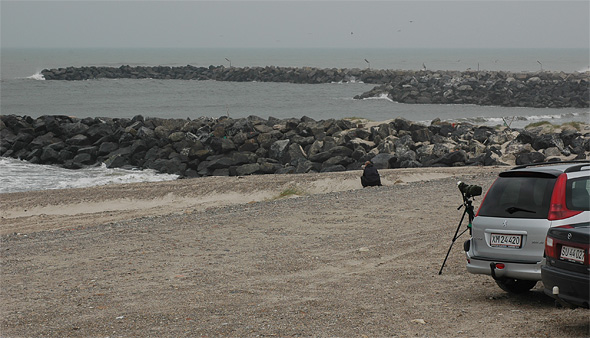 Lille Kjove 3k+, Thorsminde Havn, 23. september 2007