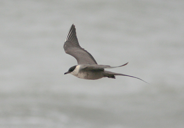 Lille Kjove 3k+, Thorsminde Havn, 23. september 2007