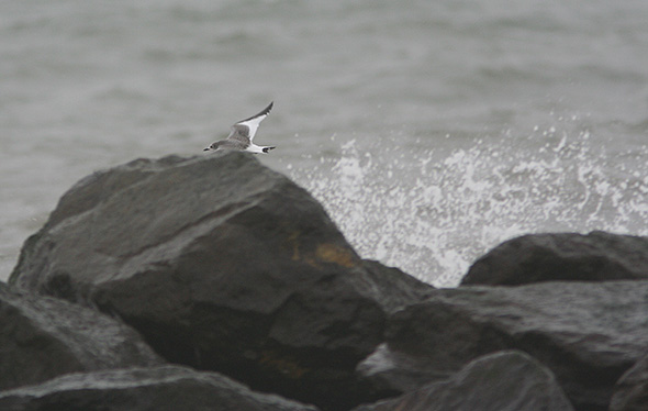 Sabinem�ge 1k, Thorsminde Havn, 23. september 2007