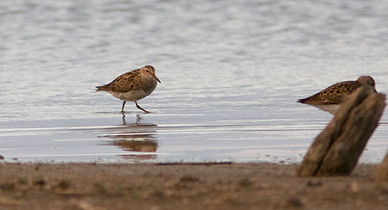 Se billedet i st�rre st�rrelse...