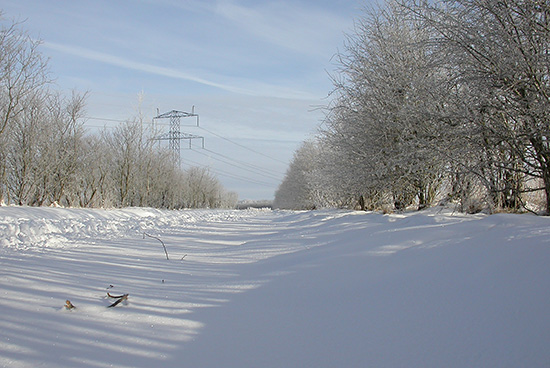 Klik for at se billedet i st�rre format...